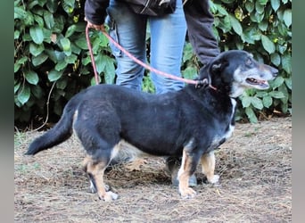 Fonzy- Unikat sucht ebensolches - und Liebe!