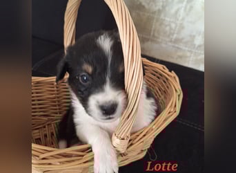 Sie sind endlich da 4 Mädels und 5 Jungs