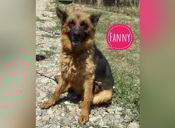 Fanny eine traurige Seele