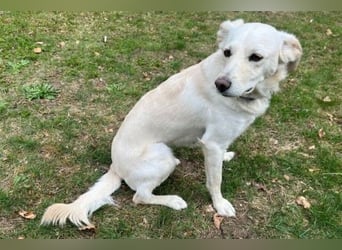 Miranda - Familie fürs Leben gesucht (82041 Deisenhofen)