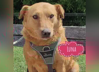 Luna die Sanfte