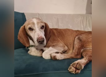 Jackie will Liebe und Geborgenheit erfahren