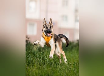 Besondere Deya sucht warmes Körbchen