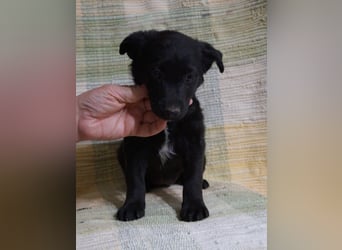 Sidney, Black Baby freut sich auf Dich!