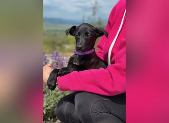 Trudi – eine Freudin fürs Leben