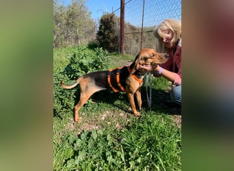 Jenny sucht ein Zuhause