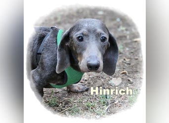Hinrich kennt kein schönes Leben
