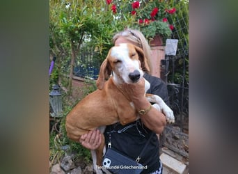 Annie sucht Traumzuhause!