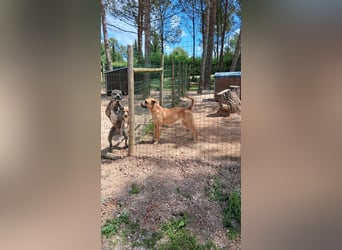 Yara sucht Pflege- oder Endstelle