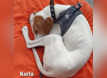 Karla mit dem zauberhaftem Wesen