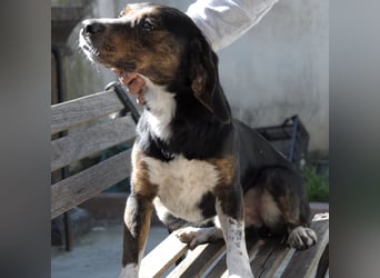 Arturo - junger Gutelaune-Bub