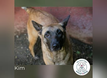 Kim: Menschen mit Geduld, Zeit und Liebe gesucht