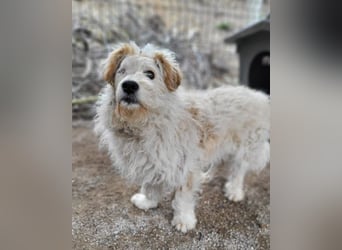Lucky ❤️ fröhlich+aufgeweckt sucht dich!