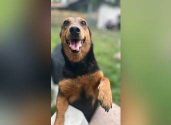 Frida, 10.05.2019 geboren, 31 cm sucht ihre Menschen