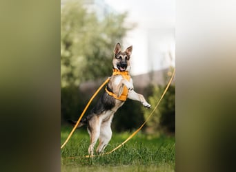 Besondere Deya sucht warmes Körbchen