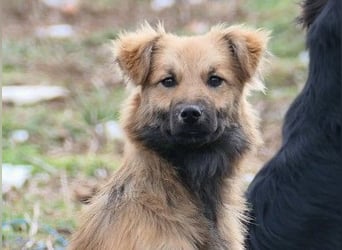 Unsere schüchterne Dani sucht Dich