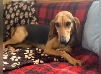Couch gesucht für CONNIE