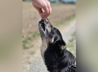 Mia – sanfter, ruhiger Sonnenschein