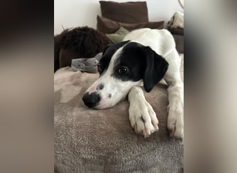 Josie möchte jetzt auch endlich ankommen