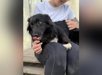 Ariel LM - Schüchterne Schönheit sucht Zuhause