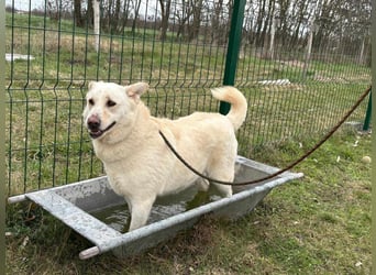 Fibi, geboren 01.06.2021, 50cm sucht ihr Körbchen