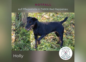 Holly: sucht DRINGEND ihre Endstelle zum Ankommen in 74906 Bad Rappenau