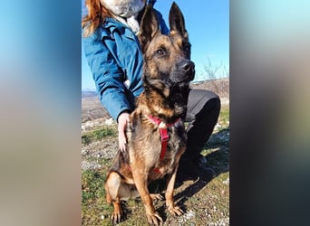 Lio - Best Buddy gesucht!