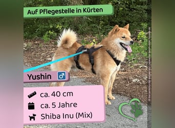 Yushin