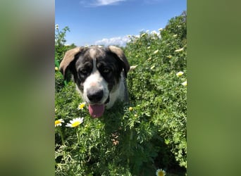 Nobu (Spanien) – der beste Partner, den man sich wünschen kann