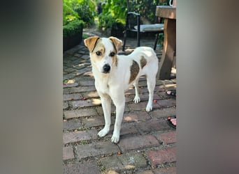 Schmusefreund IVO sucht sein Traumzuhause