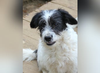 Herziger KELVIN sucht Kuschelpartner fürs Leben