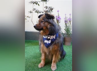 Buddy-SR, möchte dein Freund werden