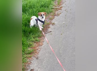 Lustige MONA sucht eine liebevolle Familie