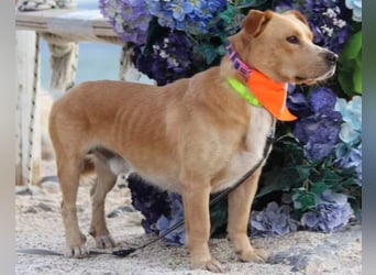 Max & Kika ❤️ liebevolles Zuhause gesucht