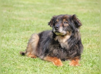 FRODO sucht ein Zuhause