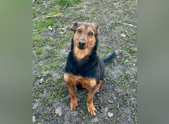 Frida, 10.05.2019 geboren, 31 cm sucht ihre Menschen