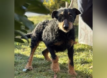 Gena eine vitale Lady