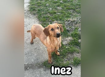 Inez, 22.01.2024 geboren sucht ihr Glück