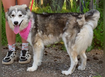Rita Y160 ist eine wahre Frohnatur