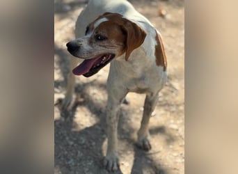 Esther, hofft auf ihr großes Glück