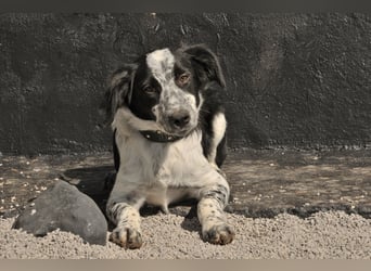 Darf Jan bei Ihnen glücklich werden?