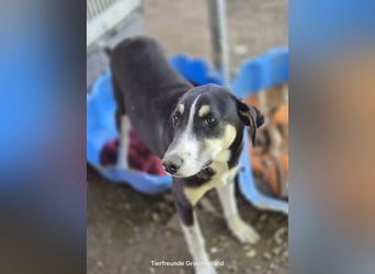 Aufgeschlossene Carlotta sucht Traumfamilie!