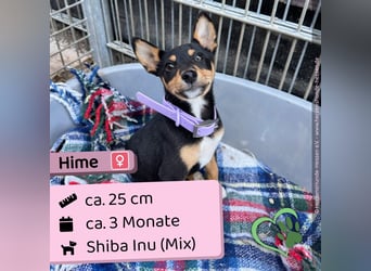 Hime