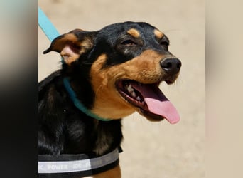 Amy, offen, neugierig und intelligent