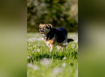 Mimi - 76189 Karlsruhe