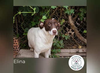 Elina: Zarte Sanftheit