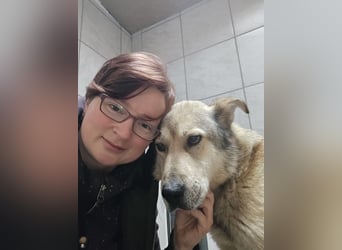 Plüschmann sucht ein neues Zuhause