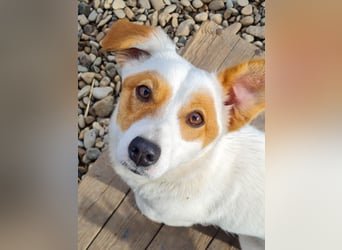 Niedliche GABRIELLA liebt Kuscheln und ist neugierig auf die Welt