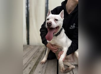 Angel sucht Herzensmenschen