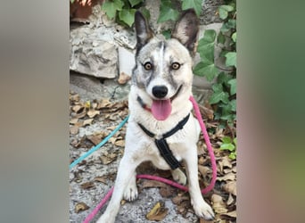 ❤️ CHISPITA ❤️